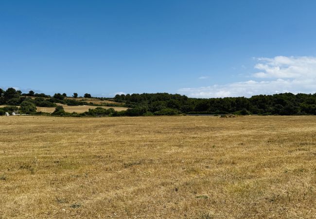 Finca en Maó - Finca BINIMAZOCH Finca en Maó - Finca BINIMAZOCH