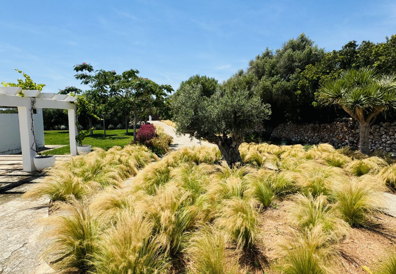 Casa en San Luis - Casa SABARRACA