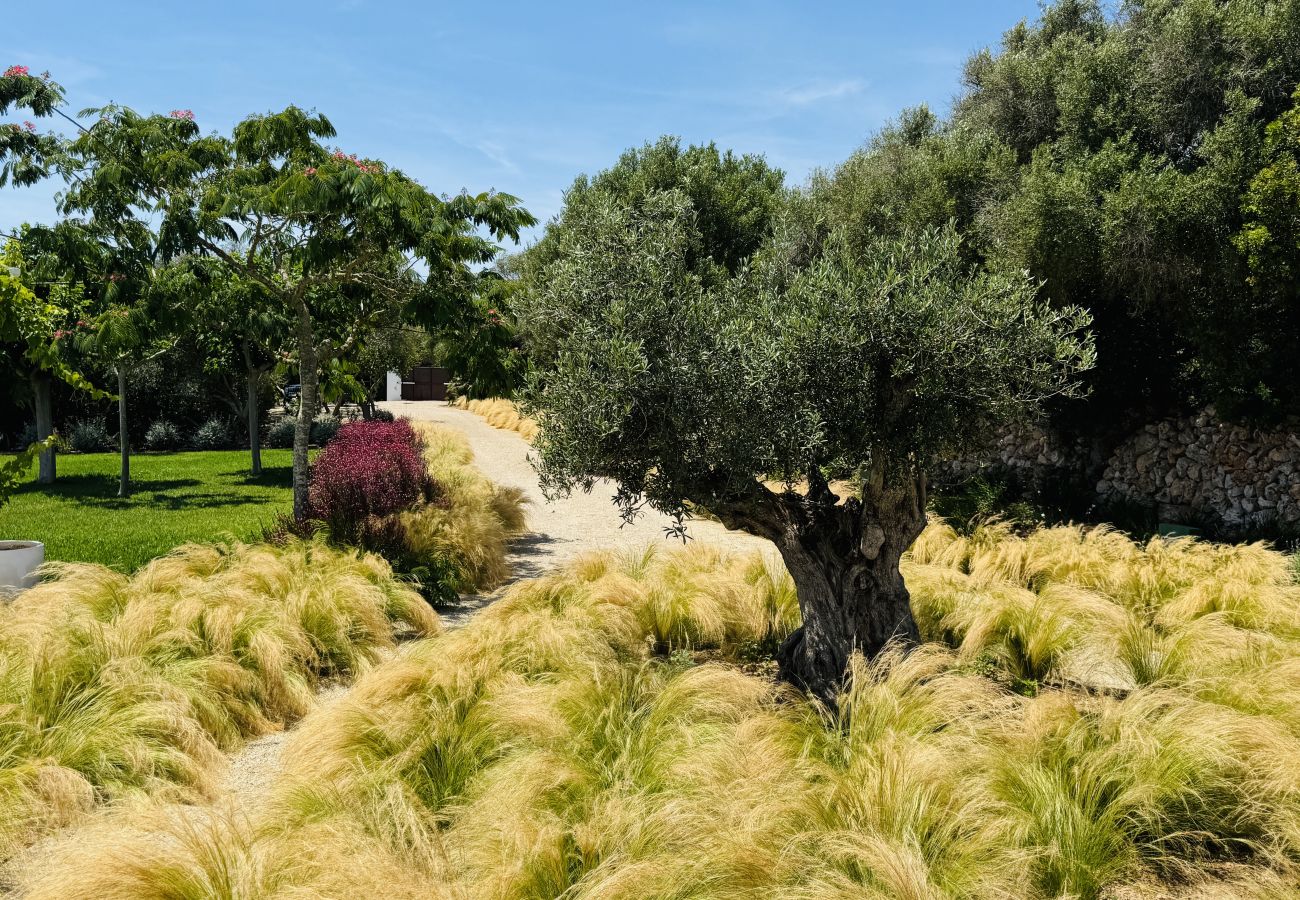 Casa en San Luis - Casa SABARRACA