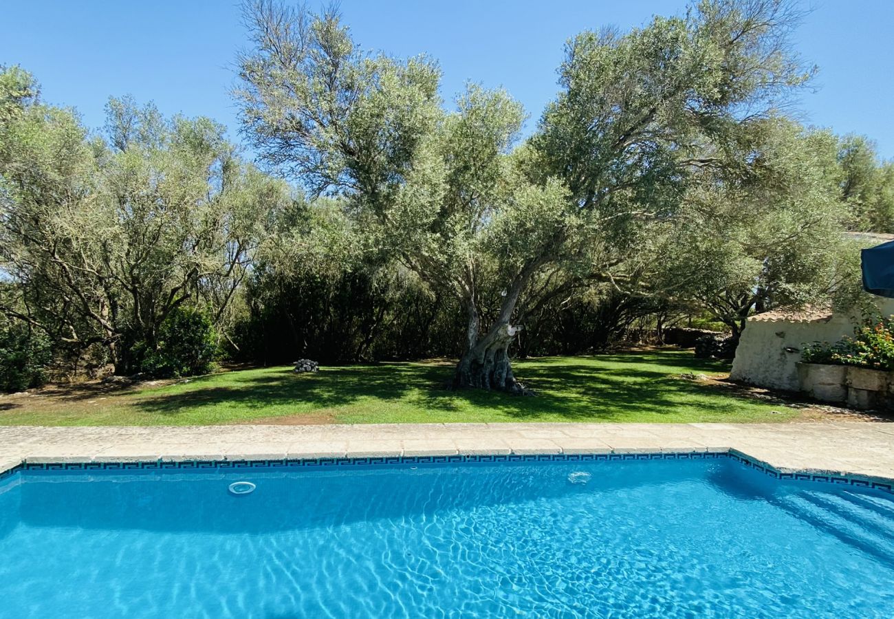 Casa en Sant Climent - Casa LLOC NOU