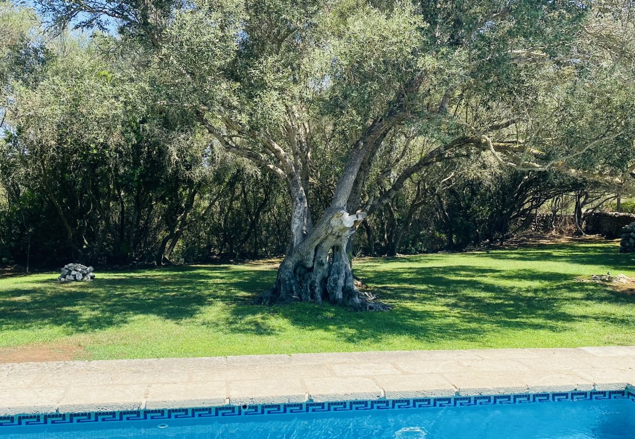 Casa en Sant Climent - Casa LLOC NOU