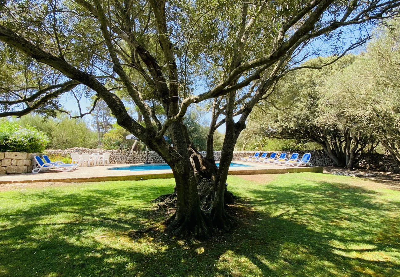 Casa en Sant Climent - Casa LLOC NOU