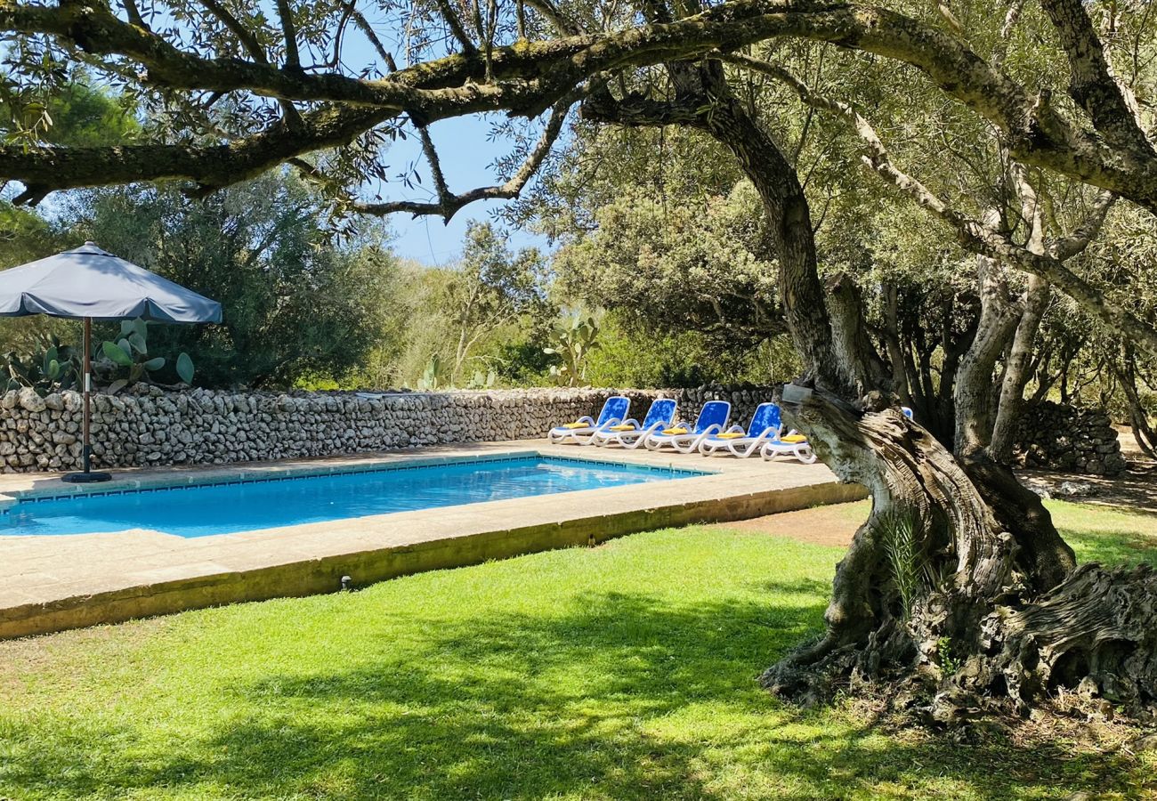 Casa en Sant Climent - Casa LLOC NOU