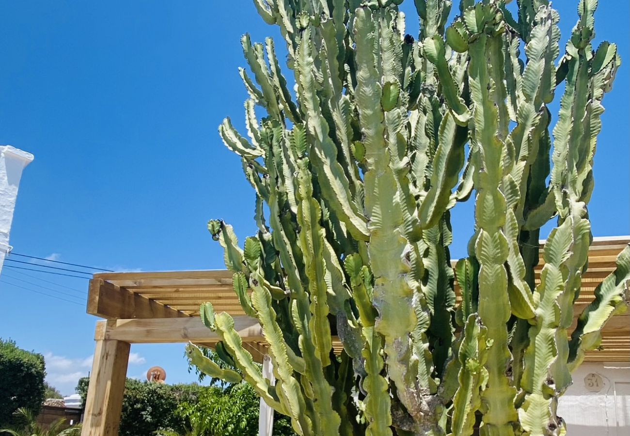 Casa en San Luis - Casa ROSA