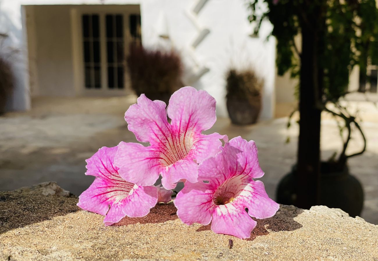 House in Sant Climent - Casa MADO MARIA