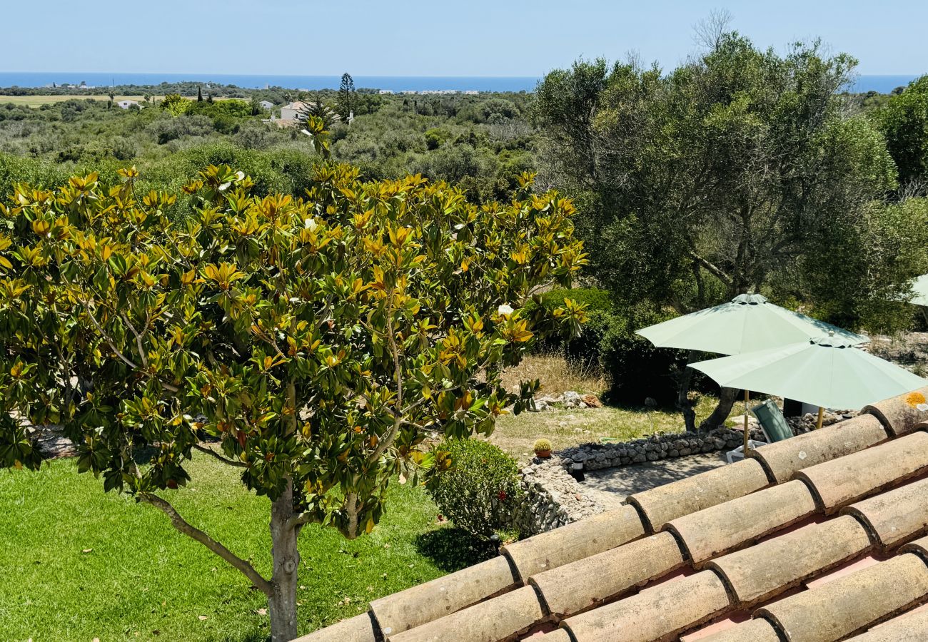 House in San Luis - Casa SABARRACA