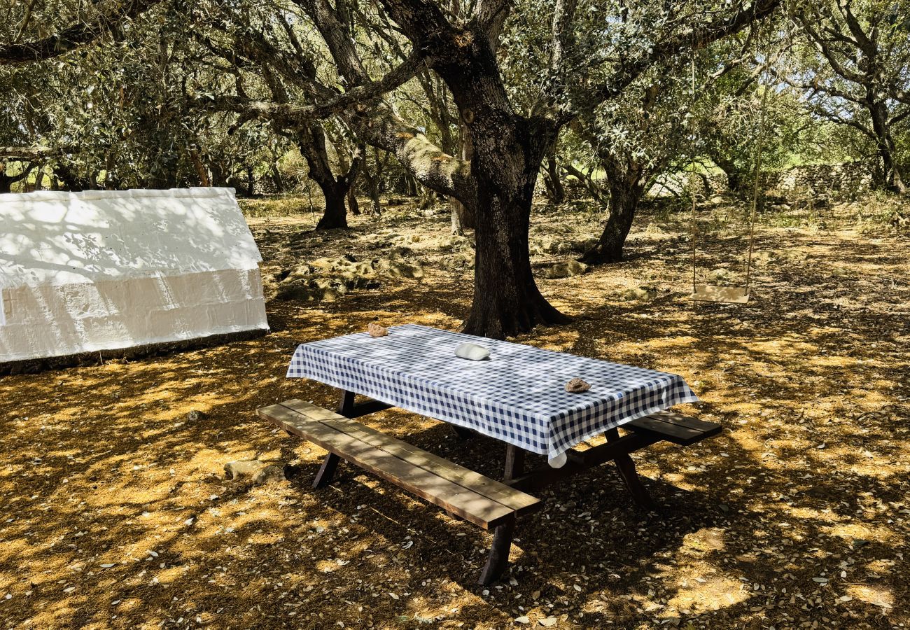 Country house in Alaior - Finca TONI