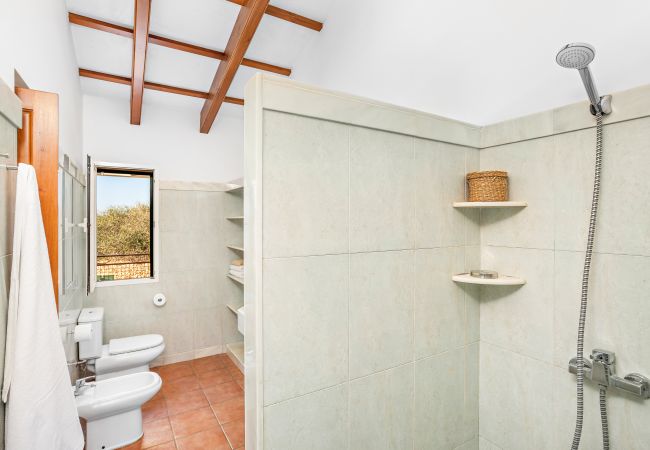 Villa in Ciutadella de Menorca - Menorca Flomertor 1 Villa in Ciutadella de Menorca - Menorca Flomertor 1