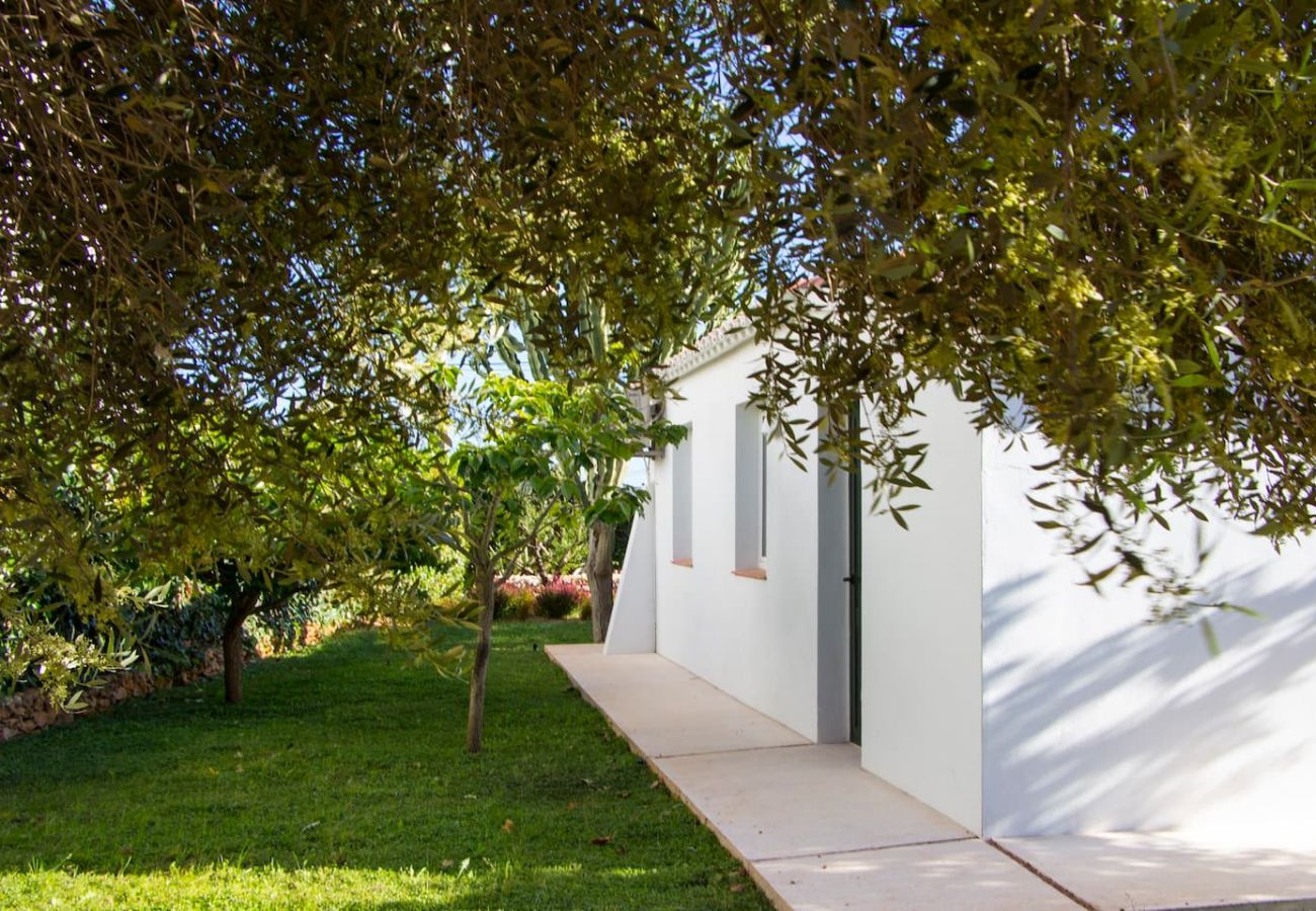 Villa in Es Castell - Villa HOEDIC