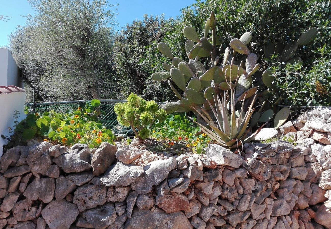 Villa in Es Castell - Villa HOEDIC