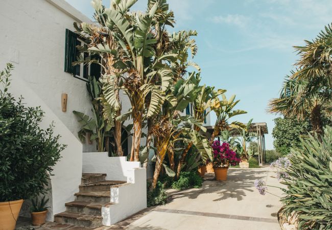 Country house in Ferreries - Finca MASSO Country house in Ferreries - Finca MASSO