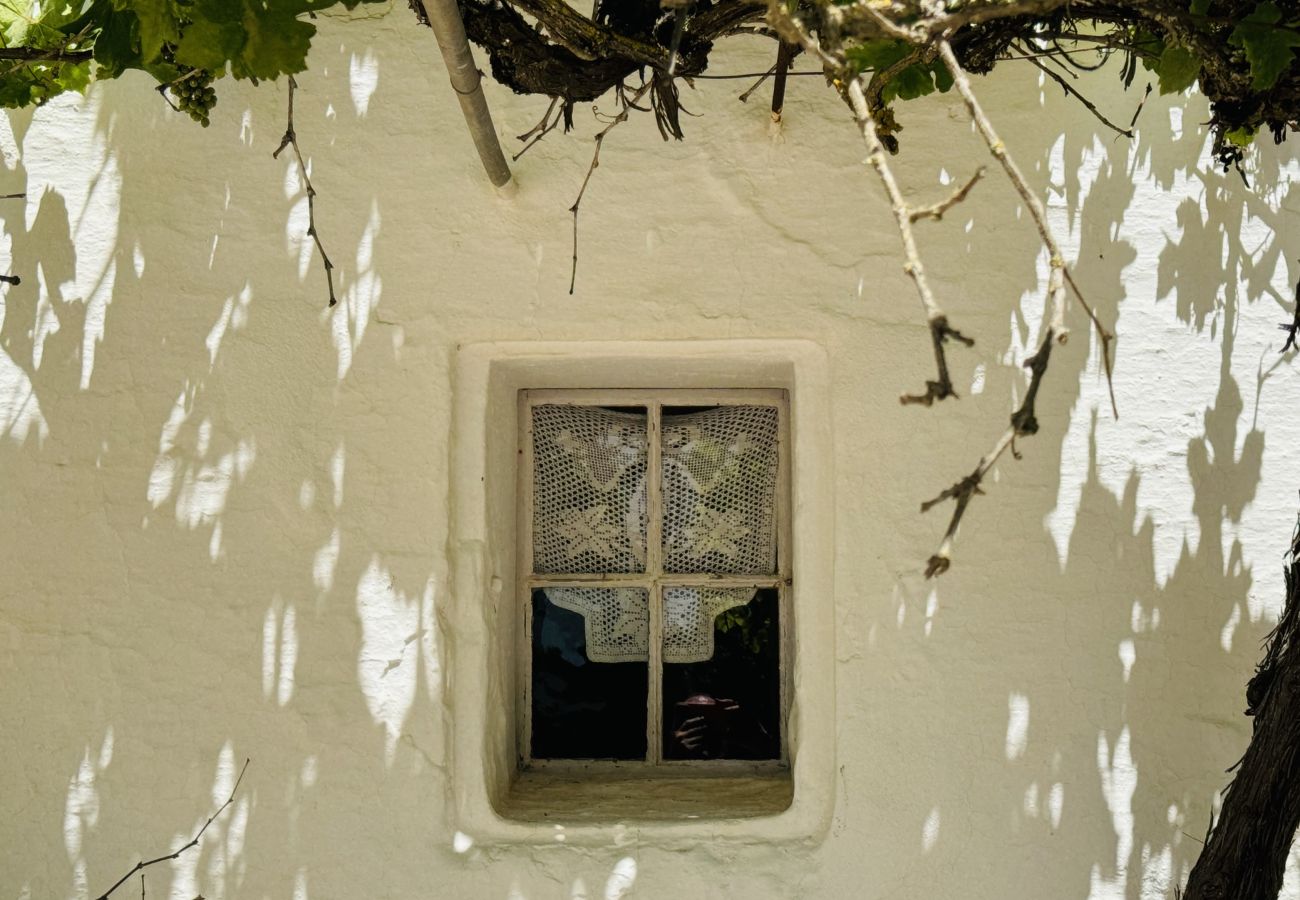 Domaine à Maó - Finca BINIMAZOCH