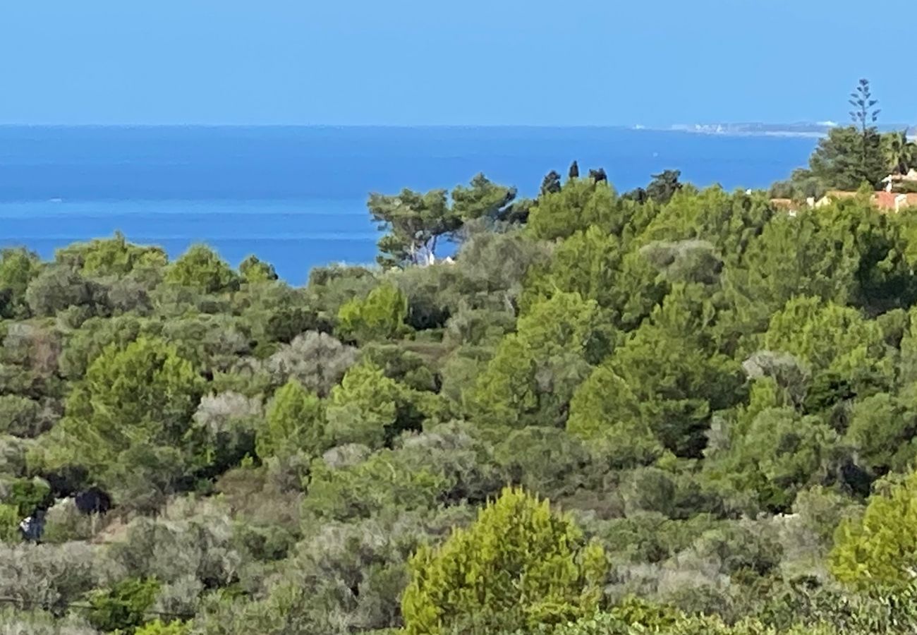 Domaine à Son Bou - Finca SANT JAUME