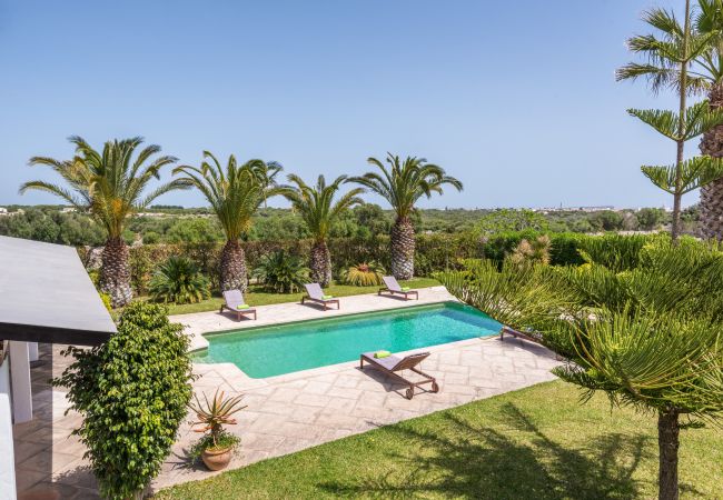 Maison à San Luis - Casa LOS OLIVOS Maison à San Luis - Casa LOS OLIVOS